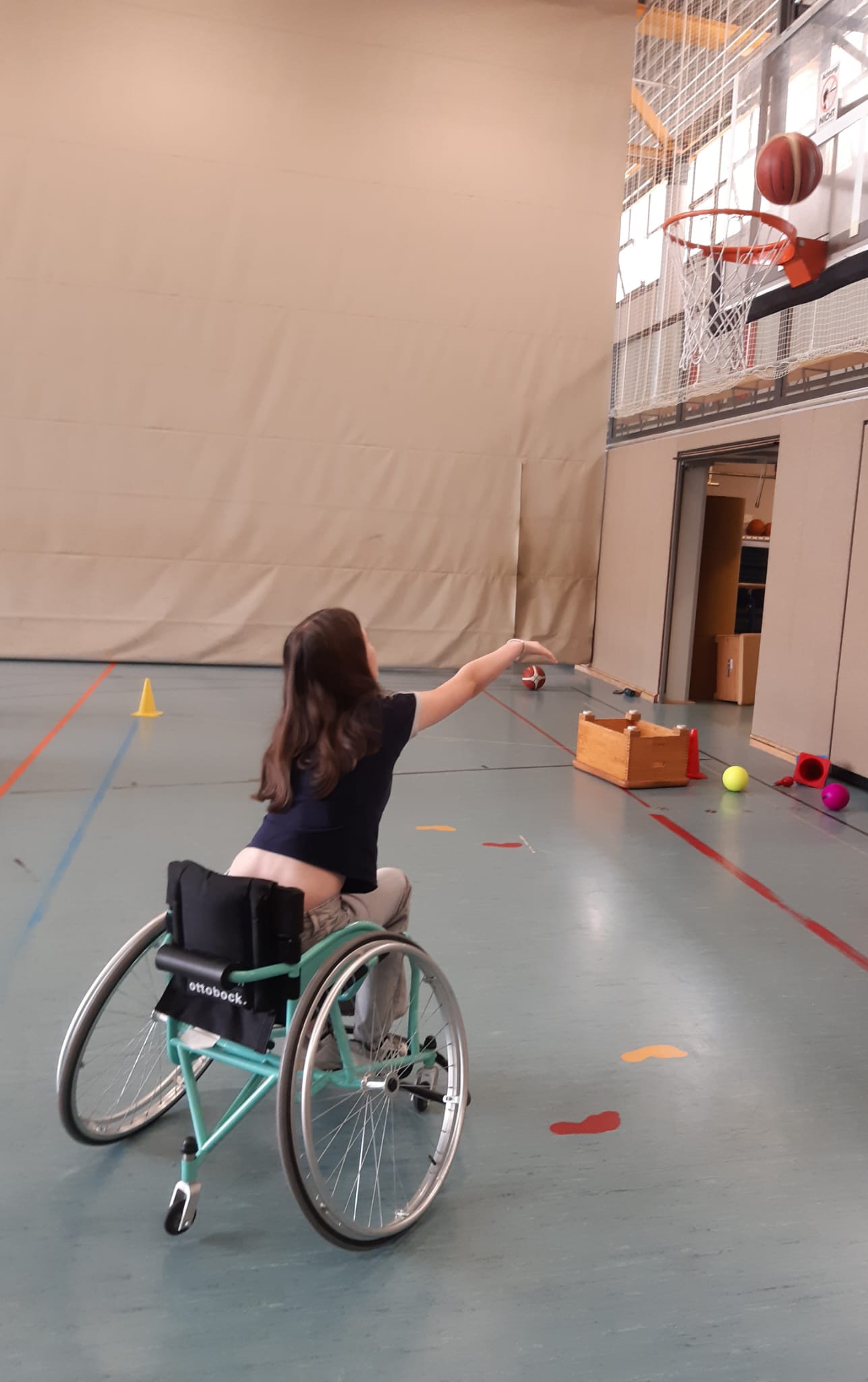 Rolli Basket 2